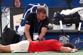 爱游戏-德约科维奇爆冷击败中国队，挺进下一轮引爆全场！的简单介绍